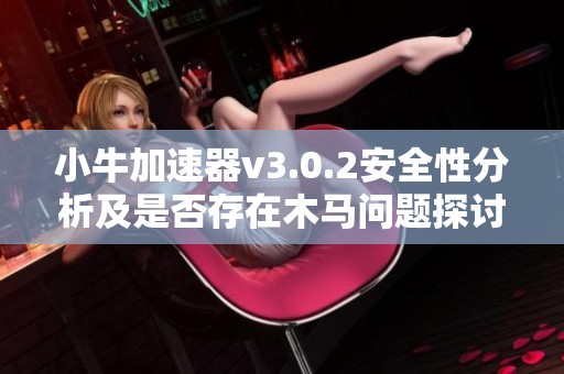 小牛加速器v3.0.2安全性分析及是否存在木馬問題探討