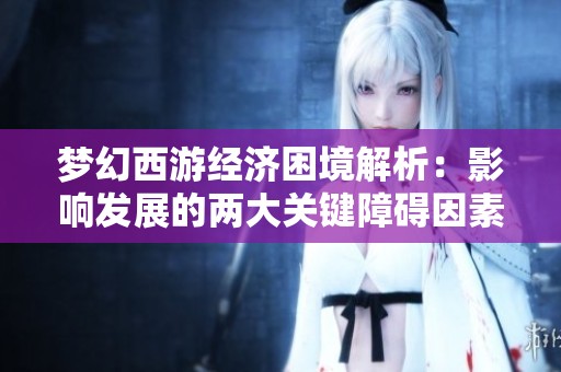夢幻西游經(jīng)濟困境解析：影響發(fā)展的兩大關鍵障礙因素
