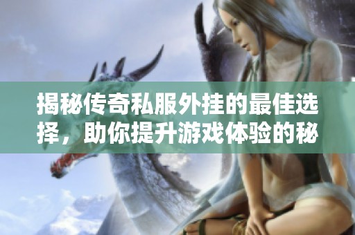 揭秘傳奇私服外掛的最佳選擇，助你提升游戲體驗(yàn)的秘密攻略
