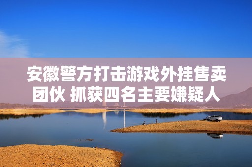 安徽警方打擊游戲外掛售賣團(tuán)伙 抓獲四名主要嫌疑人