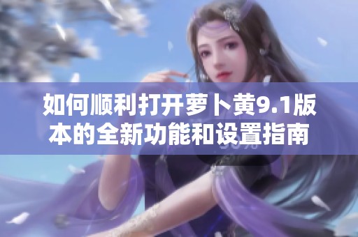 如何順利打開蘿卜黃9.1版本的全新功能和設(shè)置指南