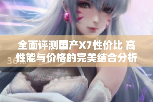 全面評(píng)測(cè)國(guó)產(chǎn)X7性價(jià)比 高性能與價(jià)格的完美結(jié)合分析