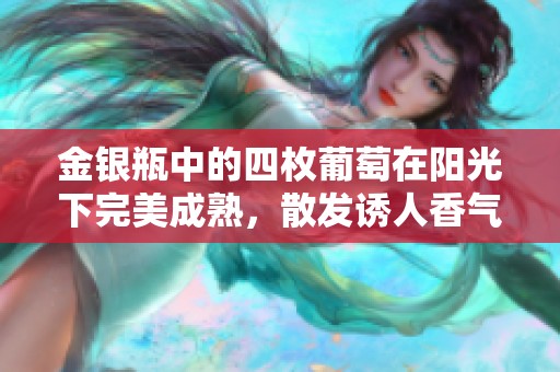 金銀瓶中的四枚葡萄在陽(yáng)光下完美成熟，散發(fā)誘人香氣