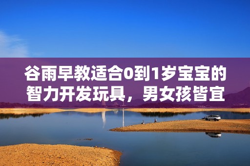 谷雨早教適合0到1歲寶寶的智力開發(fā)玩具，男女孩皆宜的益智游戲選擇