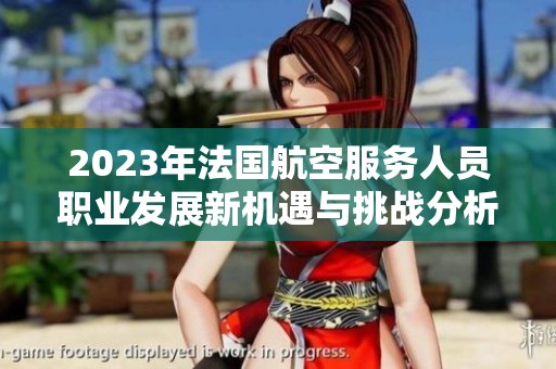 2023年法國航空服務(wù)人員職業(yè)發(fā)展新機(jī)遇與挑戰(zhàn)分析
