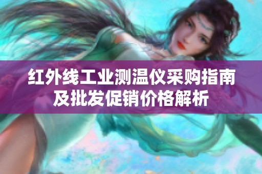 紅外線工業(yè)測(cè)溫儀采購指南及批發(fā)促銷價(jià)格解析