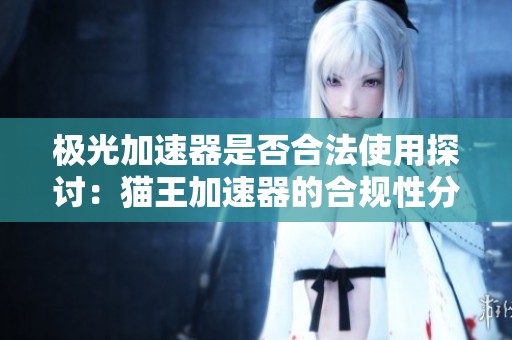 極光加速器是否合法使用探討：貓王加速器的合規(guī)性分析