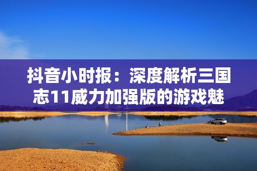 抖音小時報：深度解析三國志11威力加強版的游戲魅力與特色