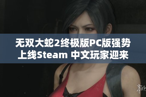 無雙大蛇2終極版PC版強(qiáng)勢上線Steam 中文玩家迎來狂潮