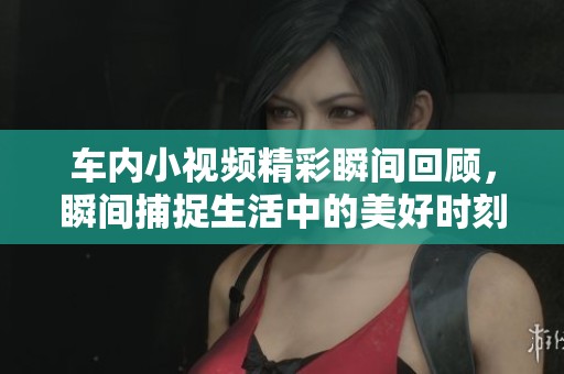 車(chē)內(nèi)小視頻精彩瞬間回顧，瞬間捕捉生活中的美好時(shí)刻