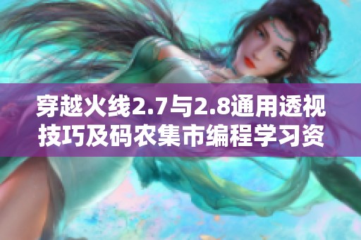穿越火線2.7與2.8通用透視技巧及碼農(nóng)集市編程學習資源分享