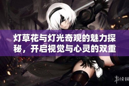 燈草花與燈光奇觀的魅力探秘，開啟視覺與心靈的雙重享受