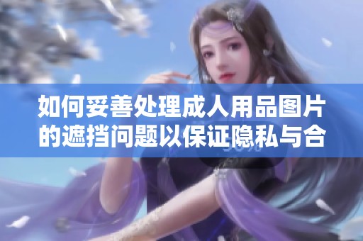 如何妥善處理成人用品圖片的遮擋問題以保證隱私與合規(guī)性