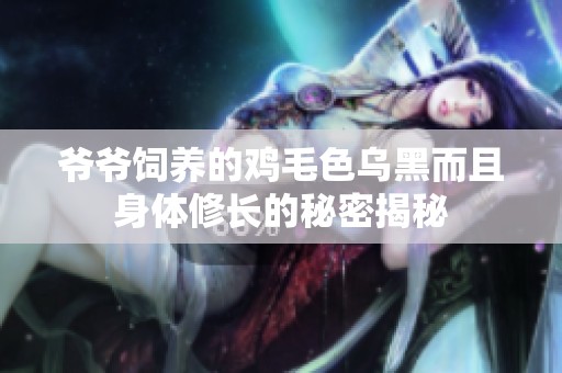 爺爺飼養(yǎng)的雞毛色烏黑而且身體修長的秘密揭秘