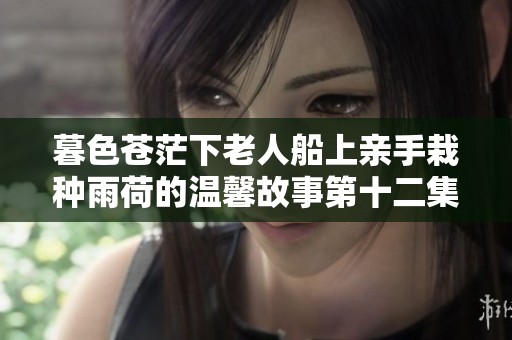 暮色蒼茫下老人船上親手栽種雨荷的溫馨故事第十二集