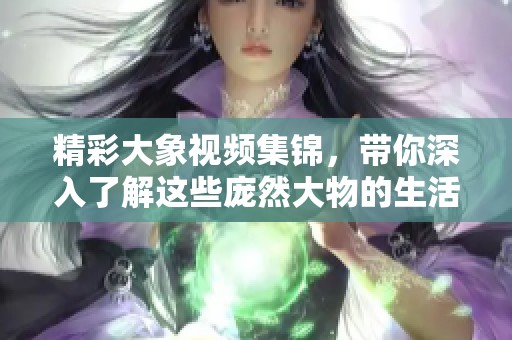 精彩大象視頻集錦，帶你深入了解這些龐然大物的生活與習(xí)性