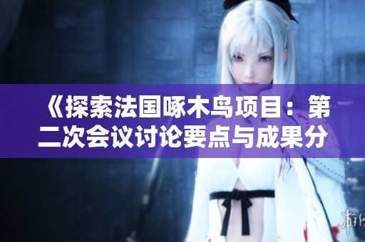 《探索法國啄木鳥項(xiàng)目：第二次會(huì)議討論要點(diǎn)與成果分析》