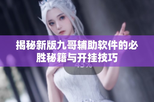 揭秘新版九哥輔助軟件的必勝秘籍與開掛技巧
