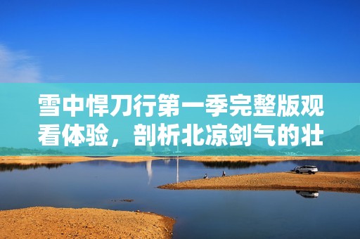雪中悍刀行第一季完整版觀看體驗(yàn)，剖析北涼劍氣的壯闊傳奇