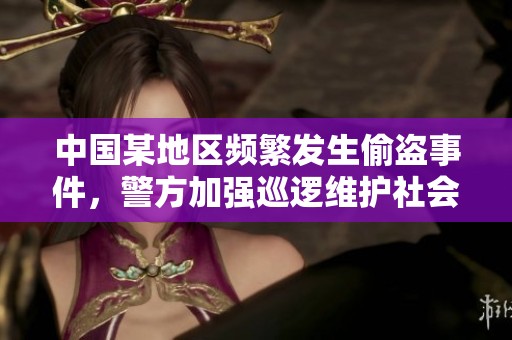 中國某地區(qū)頻繁發(fā)生偷盜事件，警方加強巡邏維護社會治安情況分析