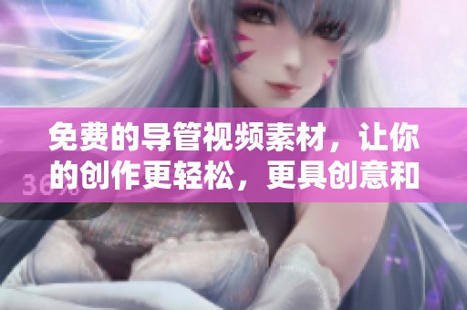 免費的導管視頻素材，讓你的創(chuàng)作更輕松，更具創(chuàng)意和專業(yè)感