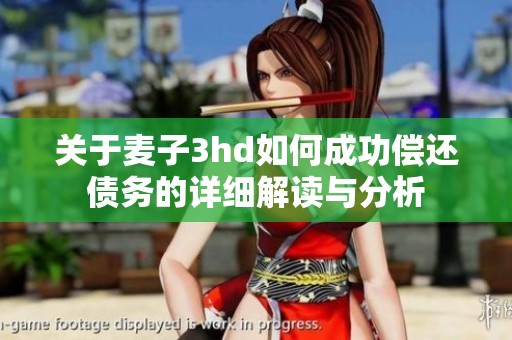 關(guān)于麥子3hd如何成功償還債務(wù)的詳細(xì)解讀與分析