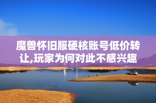 魔獸懷舊服硬核賬號低價轉(zhuǎn)讓,玩家為何對此不感興趣呢