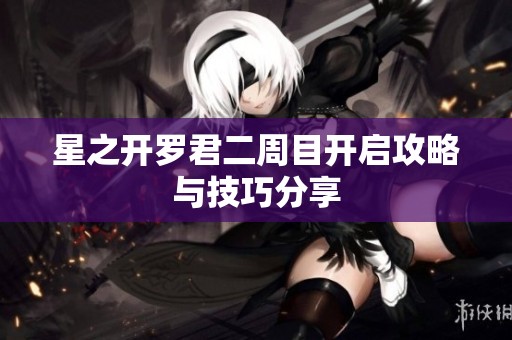 星之開羅君二周目開啟攻略與技巧分享