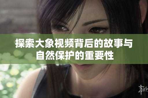 探索大象視頻背后的故事與自然保護(hù)的重要性