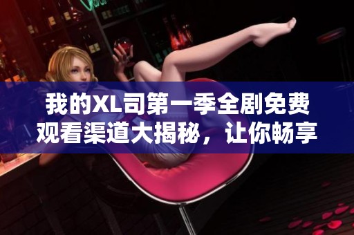我的XL司第一季全劇免費觀看渠道大揭秘，讓你暢享精彩劇情