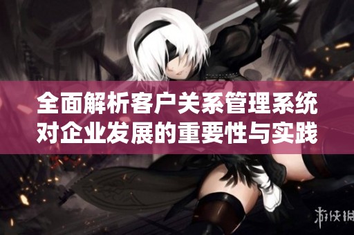 全面解析客戶(hù)關(guān)系管理系統(tǒng)對(duì)企業(yè)發(fā)展的重要性與實(shí)踐應(yīng)用