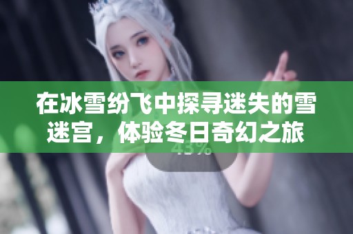 在冰雪紛飛中探尋迷失的雪迷宮，體驗(yàn)冬日奇幻之旅