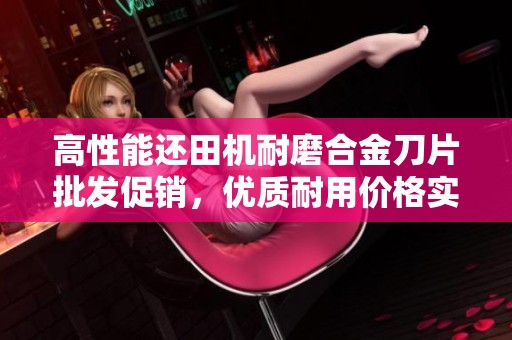 高性能還田機(jī)耐磨合金刀片批發(fā)促銷，優(yōu)質(zhì)耐用價格實惠