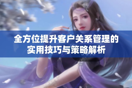 全方位提升客戶關(guān)系管理的實(shí)用技巧與策略解析