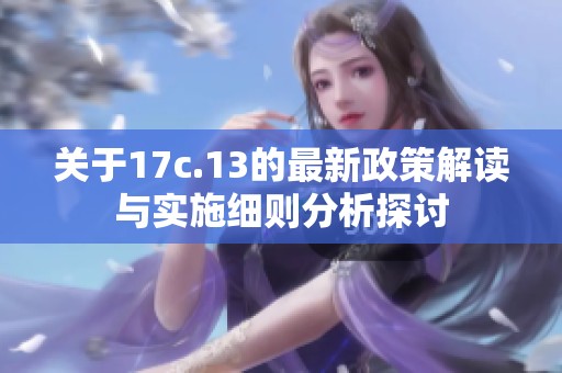 關(guān)于17c.13的最新政策解讀與實施細(xì)則分析探討