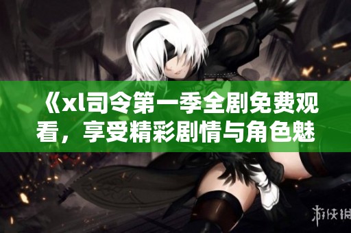 《xl司令第一季全劇免費(fèi)觀看，享受精彩劇情與角色魅力》