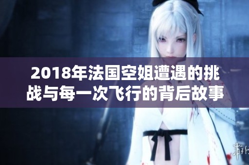 2018年法國空姐遭遇的挑戰(zhàn)與每一次飛行的背后故事揭秘