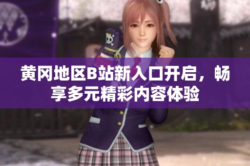 黃岡地區(qū)B站新入口開啟，暢享多元精彩內(nèi)容體驗(yàn)