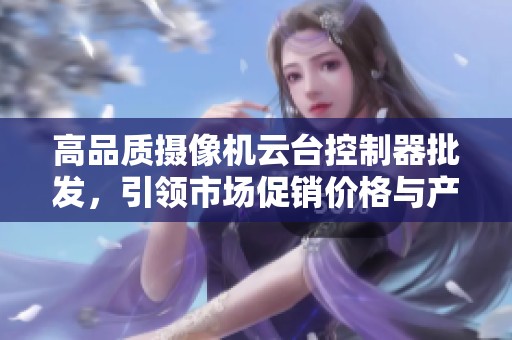 高品質(zhì)攝像機云臺控制器批發(fā)，引領市場促銷價格與產(chǎn)地選擇