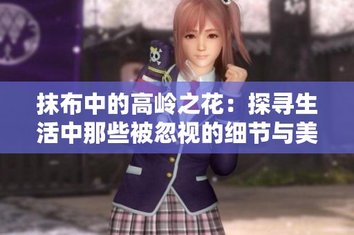 抹布中的高嶺之花：探尋生活中那些被忽視的細(xì)節(jié)與美麗
