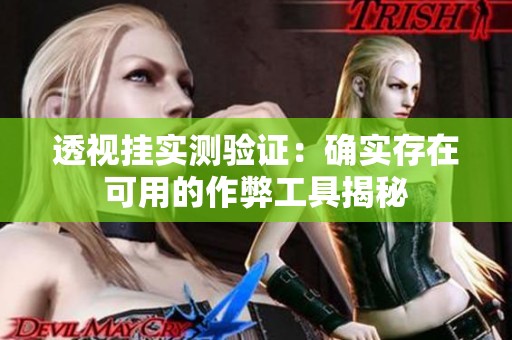 透視掛實測驗證：確實存在可用的作弊工具揭秘