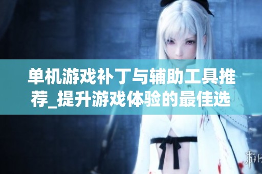 單機(jī)游戲補(bǔ)丁與輔助工具推薦_提升游戲體驗(yàn)的最佳選擇