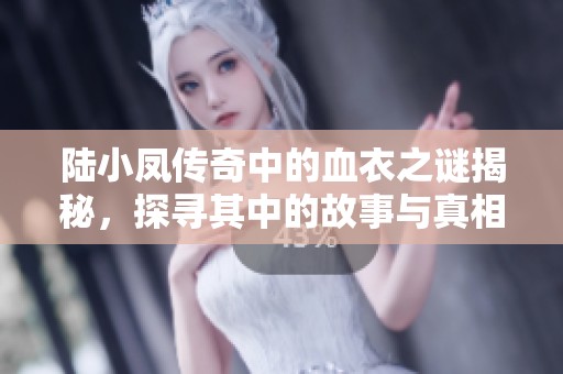 陸小鳳傳奇中的血衣之謎揭秘，探尋其中的故事與真相