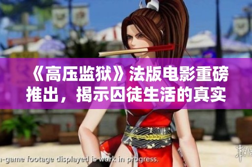 《高壓監(jiān)獄》法版電影重磅推出，揭示囚徒生活的真實與黑暗交織