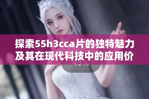 探索55h3cca片的獨(dú)特魅力及其在現(xiàn)代科技中的應(yīng)用價值