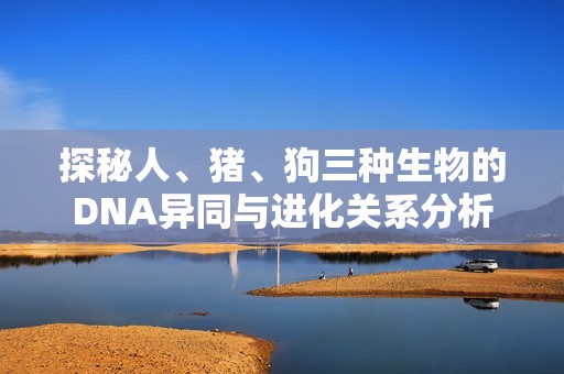 探秘人、豬、狗三種生物的DNA異同與進(jìn)化關(guān)系分析