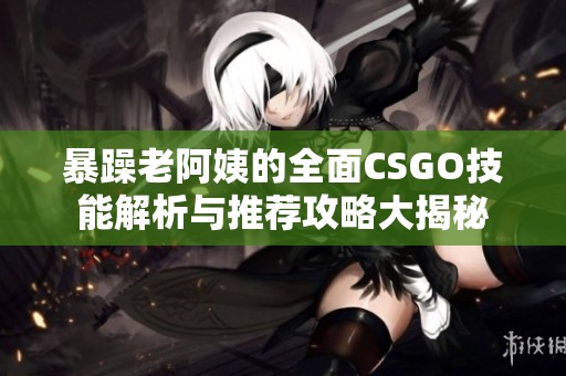 暴躁老阿姨的全面CSGO技能解析與推薦攻略大揭秘