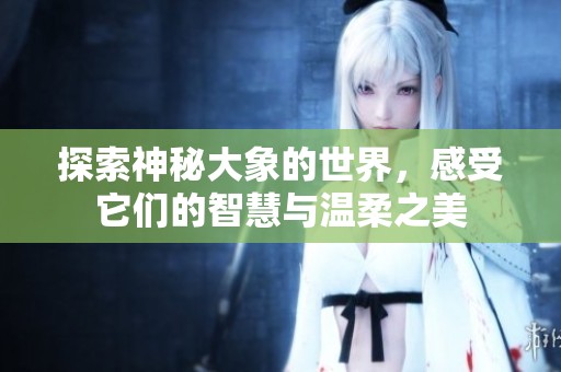 探索神秘大象的世界，感受它們的智慧與溫柔之美