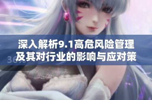 深入解析9.1高危風險管理及其對行業(yè)的影響與應對策略