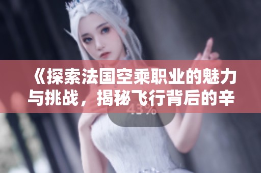 《探索法國空乘職業(yè)的魅力與挑戰(zhàn)，揭秘飛行背后的辛勤付出》